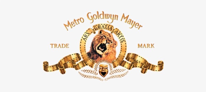 Metro goldwyn mayer