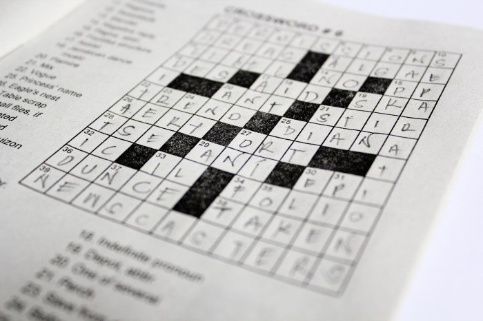 What you used to be crossword