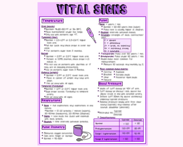 Ati rn vital signs assessment 2.0