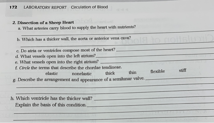 Blood and circulation lab report