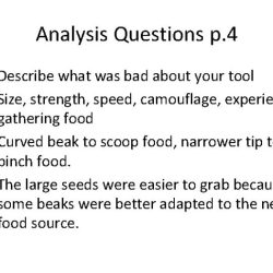 Beaks of finches lab student answer packet