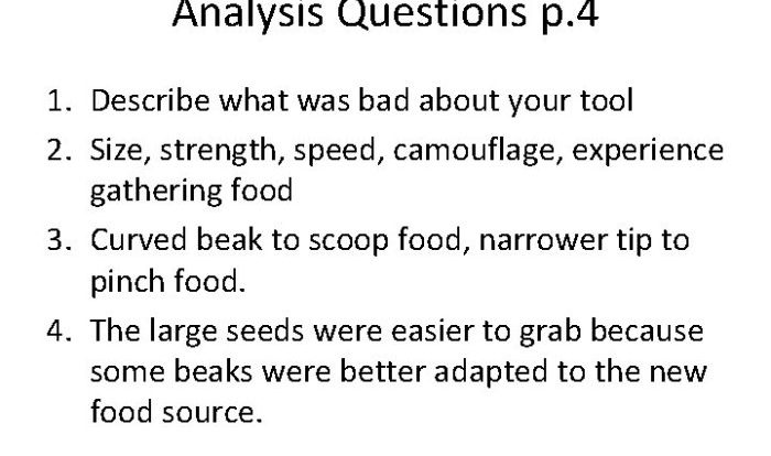 Beaks of finches lab student answer packet