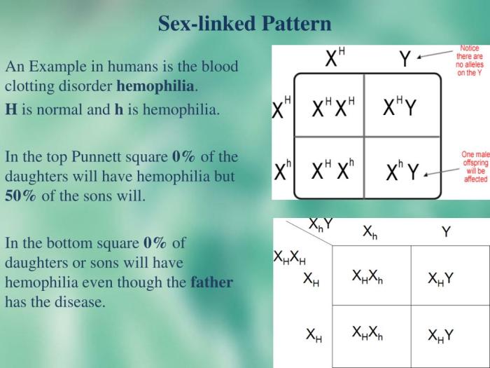 Punnett squares x-linked answer key